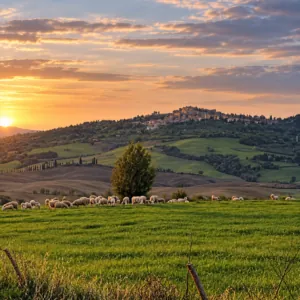 Tour in Valdorcia