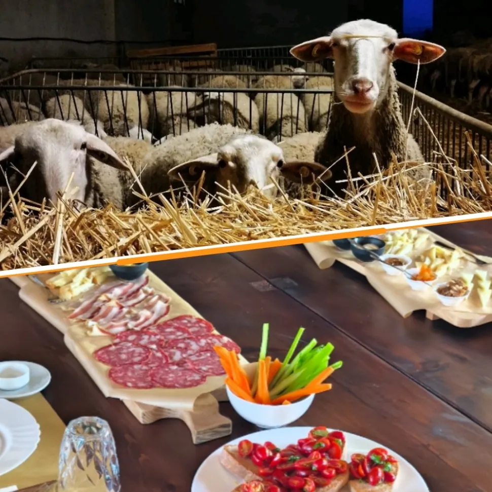 La Boutique del pastore Valdorcia Tour pranzi